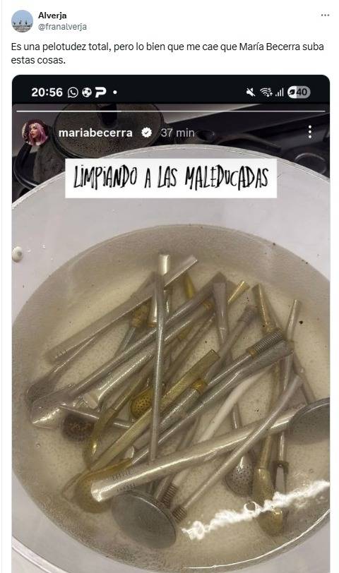 mate, yerba mate, bombillas